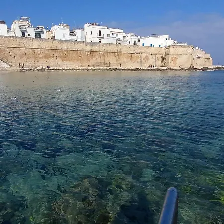 Colori Del Sud *