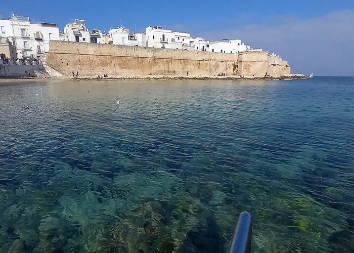 Colori Del Sud *