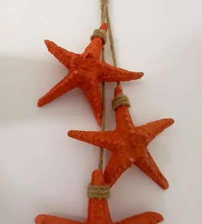 Colori Del Sud مونوبولي